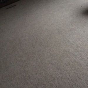 Meet your Posher, Aimee